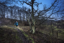 dave trailrunningLDF_3346